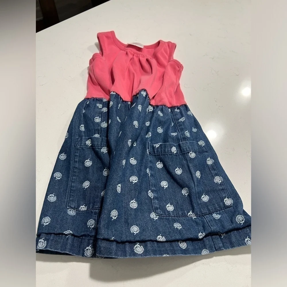 Hanna Anderson Pink and Chambray Floral Dress size 3-5 years
